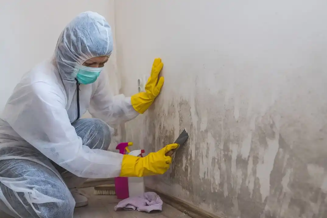 water damage restoration service Villas of Babcock (Summerwind)